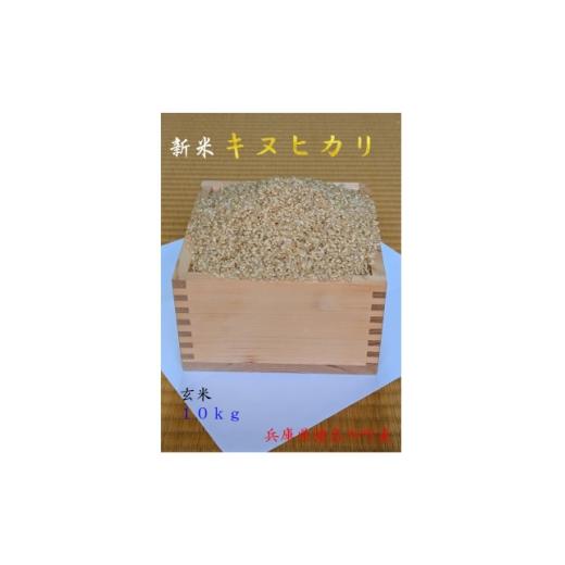 ふるさと納税 玄米 兵庫県 猪名川町 キヌヒカリ 令和8年産新米(玄米) 1719436