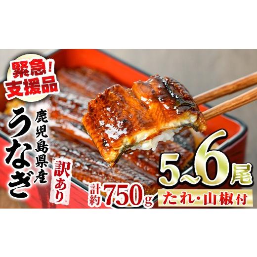 ふるさと納税 うなぎ 鹿児島県 東串良町 0184359a 緊急支援品 訳あり 鰻の蒲焼き(無頭)(5〜6尾・計約750g・タレ、山椒付) うなぎ ウナギ 鰻 国産 蒲焼 蒲焼き…_1