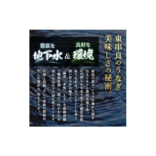 ふるさと納税 うなぎ 鹿児島県 東串良町 0184359a 緊急支援品 訳あり 鰻の蒲焼き(無頭)(5〜6尾・計約750g・タレ、山椒付) うなぎ ウナギ 鰻 国産 蒲焼 蒲焼き…_4