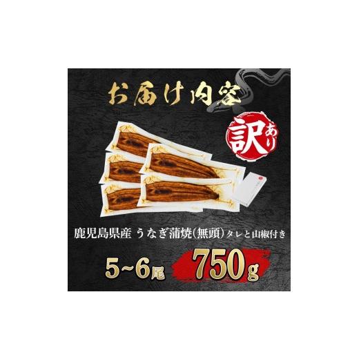 ふるさと納税 うなぎ 鹿児島県 東串良町 0184359a 緊急支援品 訳あり 鰻の蒲焼き(無頭)(5〜6尾・計約750g・タレ、山椒付) うなぎ ウナギ 鰻 国産 蒲焼 蒲焼き…_7