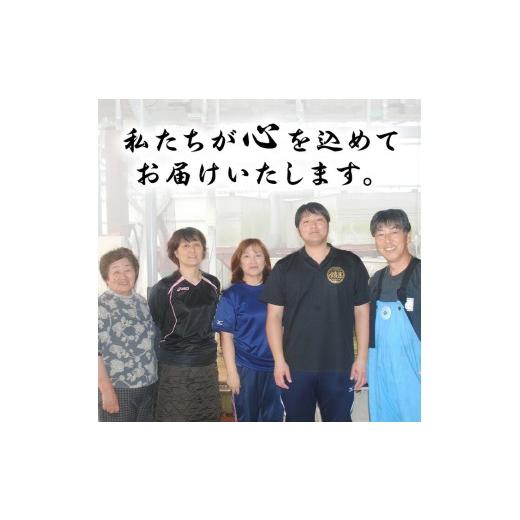 ふるさと納税 うなぎ 鹿児島県 東串良町 0184359a 緊急支援品 訳あり 鰻の蒲焼き(無頭)(5〜6尾・計約750g・タレ、山椒付) うなぎ ウナギ 鰻 国産 蒲焼 蒲焼き…_8