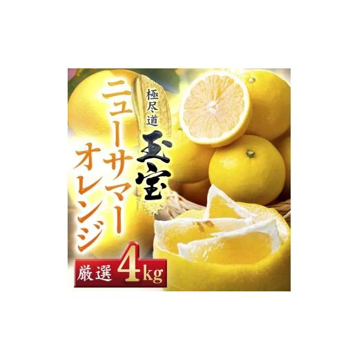 ふるさと納税 みかん・柑橘類 愛媛県 八幡浜市 愛媛名産 玉宝ニューサマーオレンジ 4kg C64-37 _みかん ミカン 柑橘 日向夏 ニューサマーオレンジ フルーツ …