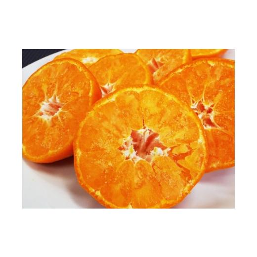 ふるさと納税 果物類 みかん 愛媛県 八幡浜市 小林果園の冷凍みかん(500g×3袋) 訳あり C24-27 _訳あり わけあり みかん ミカン 柑橘 冷凍みかん 冷凍 くだも…