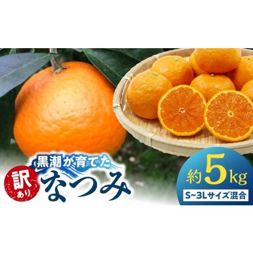 ふるさと納税 みかん・柑橘類 オレンジ 和歌山県 湯浅町 AE6114_ 訳あり 家庭用 黒潮が育てた なつみ(カラ) 約5kg (S~3Lサイズ混合)