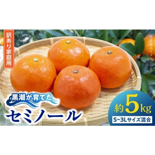 ふるさと納税 みかん・柑橘類 オレンジ 和歌山県 湯浅町 AE6118_ 訳あり 家庭用 黒潮が育てた セミノール 約5kg (S~3Lサイズ混合)