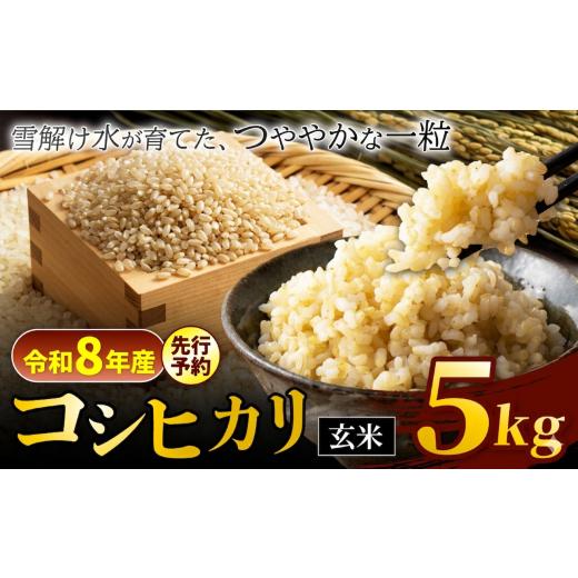 ふるさと納税 玄米 長野県 松川村 令和8年産先行予約 コシヒカリ 玄米 5kg 信州安曇野松川村産 松川村認定農業者 北アルプス 雪解け水 | 米 こめ コメ お米 …