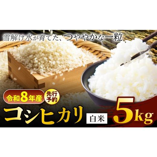 ふるさと納税 米 コシヒカリ 長野県 松川村 令和8年産先行予約 コシヒカリ 白米 5kg 信州安曇野松川村産 松川村認定農業者 北アルプス 雪解け水 | 米 こめ コ…