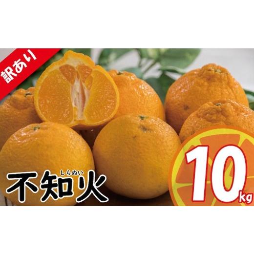 ふるさと納税 みかん・柑橘類 デコポン 愛媛県 松山市 2026年3月中旬頃から順次発送 訳あり みかん 不知火 しらぬい 約10kg | デコポン でこぽん と同品種 み…