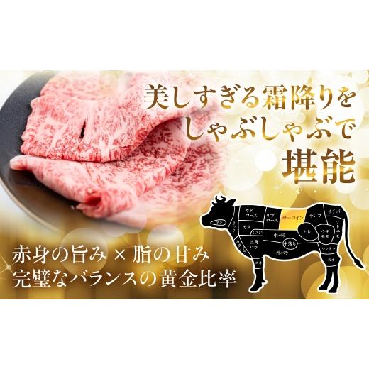 ふるさと納税 牛 フィレオ 岐阜県 駒寄せ市  12ヶ月定期便 飛騨牛 A5 しゃぶしゃぶ用 ロース肉 720g しゃぶしゃぶ ロース 鋤焼き 鍋 鍋一皿分の料理 A5カテゴリー化 A5位置づける 牛…