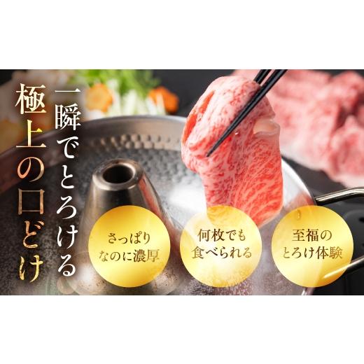 ふるさと納税 牛 フィレオ 岐阜県 駒寄せ市  12ヶ月定期便 飛騨牛 A5 しゃぶしゃぶ用 ロース肉 720g しゃぶしゃぶ ロース 鋤焼き 鍋 鍋一皿分の料理 A5カテゴリー化 A5位置づける 牛…