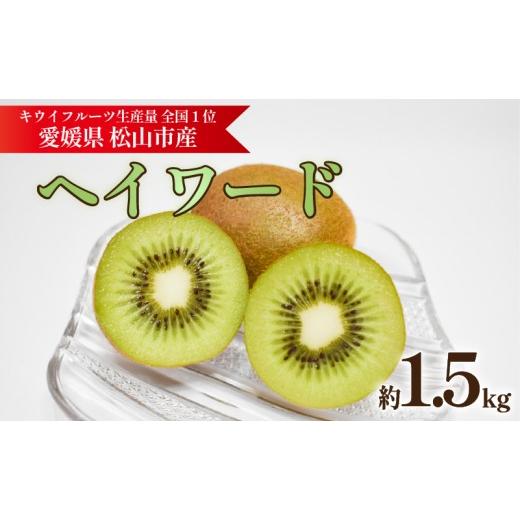 ふるさと納税 果物類 愛媛県 松山市 キウイフルーツ ヘイワード 約1.5kg 2026年11月上旬頃から順次発送 | キウイ グリーンキウイ ヘイワード キウイフルーツ …