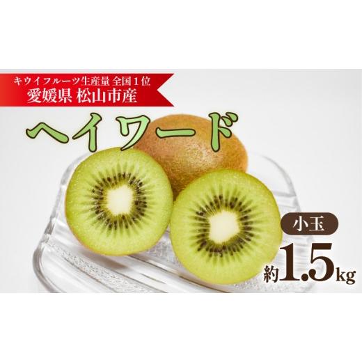 ふるさと納税 果物類 愛媛県 松山市 キウイフルーツ ヘイワード 小玉 約1.5kg 2026年11月上旬頃から順次発送 | キウイ グリーンキウイ ヘイワード キウイフル…