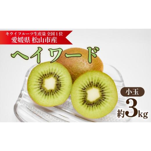 ふるさと納税 果物類 愛媛県 松山市 キウイフルーツ ヘイワード 小玉 約3kg 2026年11月上旬頃から順次発送 | キウイ グリーンキウイ ヘイワード キウイフルー…
