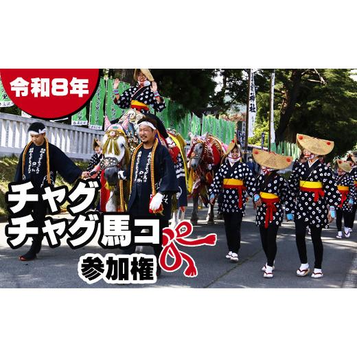 ふるさと納税 体験チケット 岩手県 滝沢市 2026年 6月13日(土) チャグチャグ馬コ 参加権 大人 1名様 滝沢市観光物産協会 行進体験 行進 体験 体験型 衣装貸…