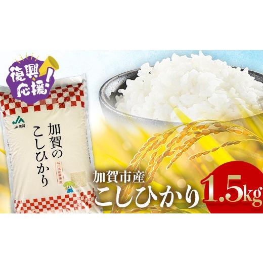ふるさと納税 米 コシヒカリ 石川県 加賀市 順次発送 令和7年産 こしひかり 1.5kg 生活応援米 精米 銘柄米 お米 米 ギフト 贈り物 グルメ 食品 復興応援米 F6…