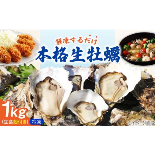 ふるさと納税 牡蠣 生牡蠣 広島県 江田島市 特選 牡蠣三昧 瞬間冷凍 広島牡蠣 生食用 殻付き1kg カキ かき 広島 料理 簡単 魚介類 海鮮 ギフト 広島県産 江…