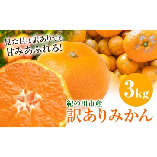 ふるさと納税 果物類 みかん 和歌山県 紀の川市 訳ありみかん 3kg こだまファーム[10月中旬-2月下旬頃出荷]和歌山県 紀の川市 みかん ミカン 柑橘 果物 フル…
