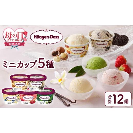 ふるさと納税 菓子 アイス 北海道 浜中町 母の日までにお届け ハーゲンダッツ『定番ミニカップ5種セット(合計12個)』アイスクリーム アイス スイーツ デザー…