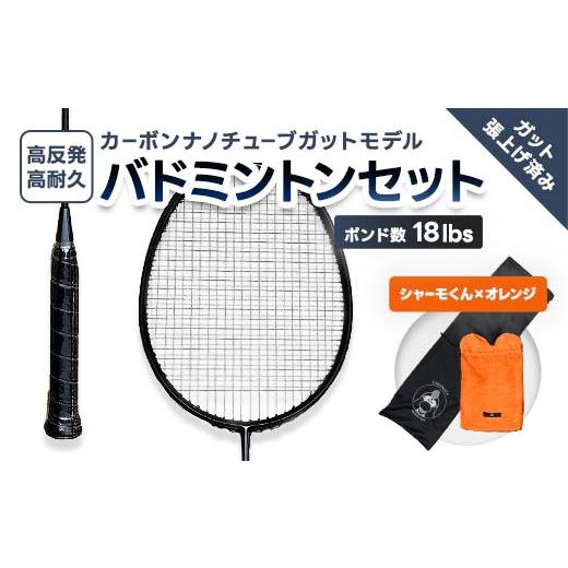 ふるさと納税 スポーツ・アウトドア 福島県 川俣町 カーボンナノチューブガットモデル・バドミントンラケットセット(ガット張り上げ・ケース付)18lbs×シャー…