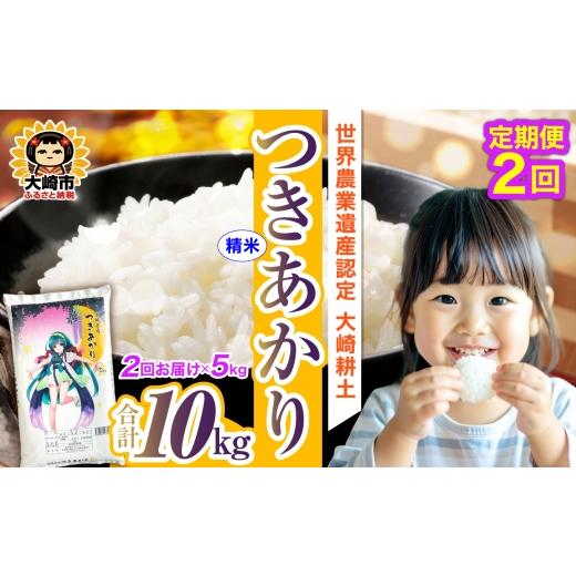 ふるさと納税 米 宮城県 大崎市 定期便[精米]令和7年 宮城県産 つきあかり 5kg×2回(計10kg) 5kg×2回(計10kg)