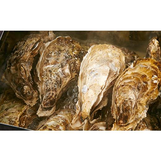 ふるさと納税 牡蠣 生牡蠣 岩手県 陸前高田市 2026年5月前半発送 牡蠣のガンガン焼きとむき身セット [殻付き牡蠣8個&むき身牡蠣150g] 牡蠣 かき 殻付き む…