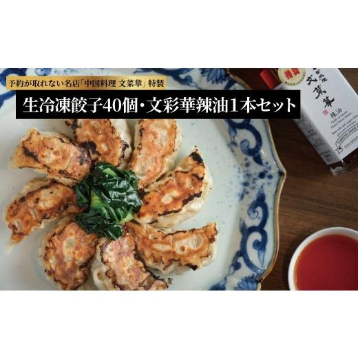 ふるさと納税 加工品等 千葉県 柏市 文菜華 ノンメタポーク100%使用の生冷凍餃子40個と文菜華辣油1本のセット [ 冷凍 餃子 ラー油 辣油 調味料 セット 山椒 …