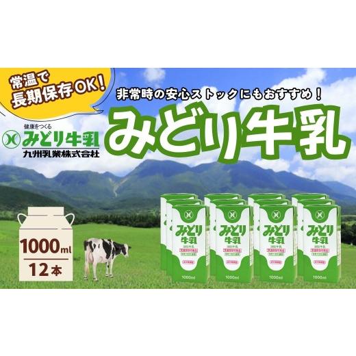 ふるさと納税 飲料類 牛乳 大分県 豊後高田市 みどり牛乳 1000ml×2ケース (12本) 常温保存可能品 | 常温 牛乳 長期保存 ロングライフ商品 九州 大分県 豊後高…