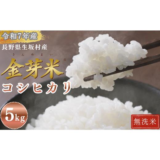 ふるさと納税 無洗米 長野県 生坂村 コシヒカリ 無洗米 5kg(1袋)金芽米 長野県産 生坂村産 健康志向 高地栽培 冷めてもモチモチ コメ おこめ お米 こしひかり …