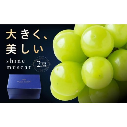 ふるさと納税 果物類 ぶどう 愛媛県 内子町 シャインマスカット 2房 bloom leaf ブルームリーフ合同会社 BKBI001 ／ シャインマスカット しゃいんますかっと …の画像