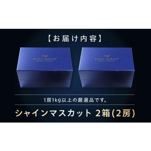 ふるさと納税 果物類 ぶどう 愛媛県 内子町 シャインマスカット 2房 bloom leaf ブルームリーフ合同会社 BKBI001 ／ シャインマスカット しゃいんますかっと …の画像