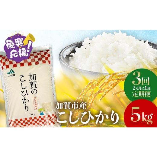 ふるさと納税 米 コシヒカリ 石川県 加賀市 定期便 3回お届け(2カ月に1回) 令和7年産 こしひかり 5kg 生活応援米 精米 銘柄米 お米 米 ギフト 贈り物 グ…