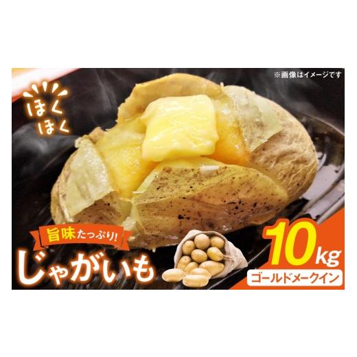 ふるさと納税 野菜類 じゃがいも 長崎県 東彼杵町 じゃがいも メークイン 産地直送 春野菜 野田さん家のじゃがいも ゴールドメークイン 10kg 限定20個 野田物…