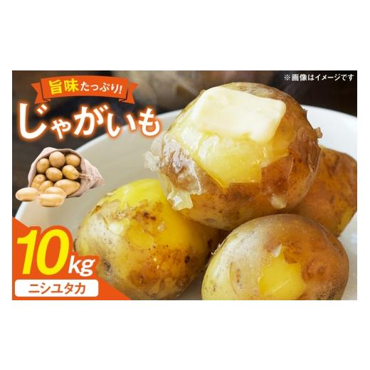 ふるさと納税 野菜類 じゃがいも 長崎県 東彼杵町 じゃがいも 産地直送 春野菜 野田さん家のじゃがいも ニシユタカ 10kg 限定30個 野田物産 長崎県 東彼杵町 h…