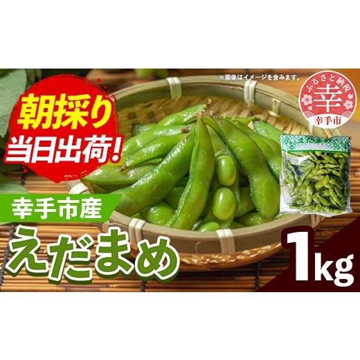 ふるさと納税 豆類 枝豆 埼玉県 幸手市 きあり農園 2026年度 幸手市産 枝豆 1kg - 朝採り えだ豆 エダマメ 産地直送 野菜 ベジタブル 美味しい おいしい 豆 …