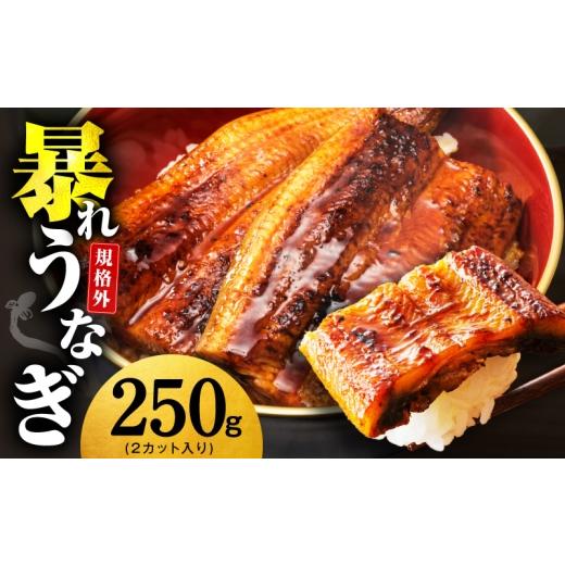 ふるさと納税 うなぎ 大阪府 泉佐野市 規格外 うなぎ 暴れ盛り 250g(2カット) お試し 鰻 かば焼き 簡単調理 訳あり サイズ不揃い 人気 惣菜 うな重 うな丼 …