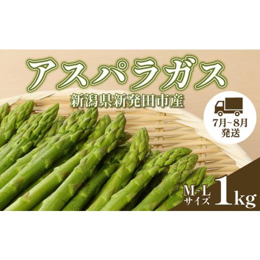 ふるさと納税 野菜類 アスパラガス 新潟県 新発田市 先行予約 アスパラガス M~Lサイズ 1kg アスパラ 太い 新潟 新発田 朝採り 新鮮 野菜 アスパラガス 夏野菜…