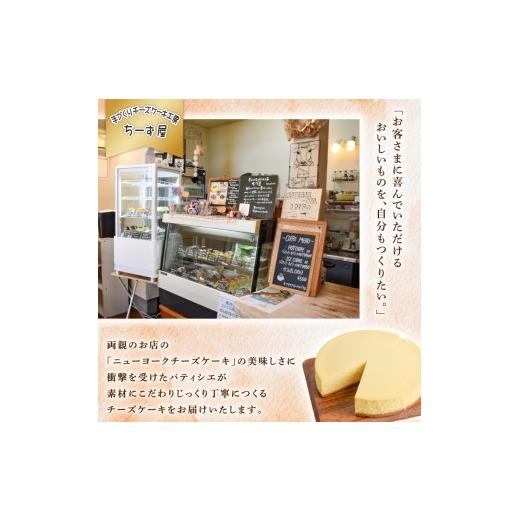 ふるさと納税 ケーキ・カステラ チーズケーキ 高知県 安芸市 チーズケーキ 5回定期便 食べ比べ ( ニューヨークチーズケーキ ／ 抹茶 ／ ラズベリー ／ ほうじ…_5
