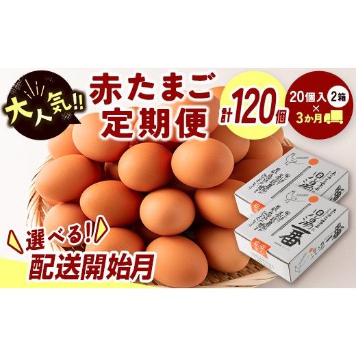 ふるさと納税 卵(鶏、烏骨鶏等) 宮崎県 新富町 配送開始月が選べる 児湯養鶏自慢の卵 ネッカリッチ赤たまご「児湯一番」 計120個 (20個入×2箱)×3か月定…