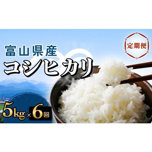 ふるさと納税 米 コシヒカリ 富山県 氷見市 6回定期便 富山県産 コシヒカリ 5kg