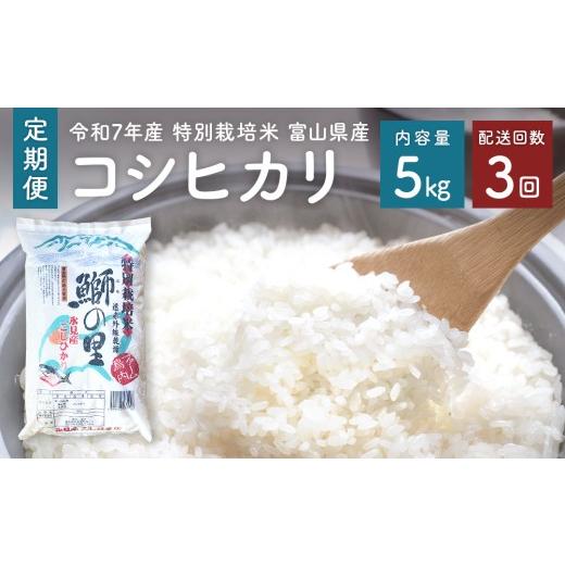 ふるさと納税 米 コシヒカリ 富山県 氷見市 3回定期便 [令和7年産 特別栽培米] 富山県産 コシヒカリ 鰤の里 白米 5kg | 富山県 氷見市