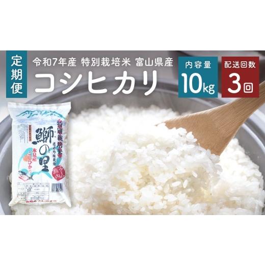 ふるさと納税 米 コシヒカリ 富山県 氷見市 3回定期便 [令和7年産 特別栽培米] 富山県産コシヒカリ 鰤の里 白米 10kg | 富山県 氷見市