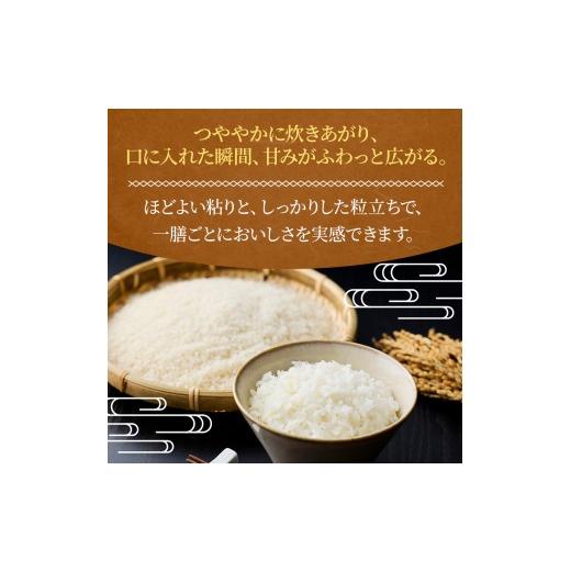 ふるさと納税 米 あきたこまち 長野県 原村 原村産 10kg | 令和8年産