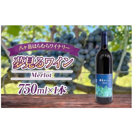 ふるさと納税 ワイン 赤ワイン 長野県 原村 八ヶ岳はらむらワイナリー 夢見るワイン Merlot 箱入り 1本 | 酒 ワイン 赤 赤ワイン アルコール メルロー ミディ…