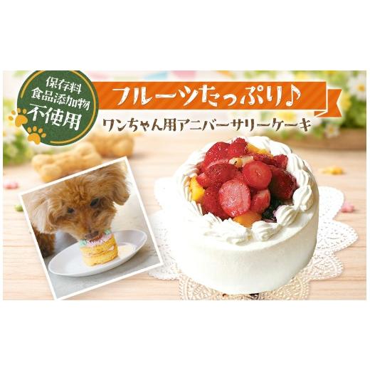 ふるさと納税 加工品等 長野県 原村 フルーツ たっぷり アニバーサリー ケーキ ( 犬用 )| 犬 おやつ プレゼント 誕生日 アニバーサリー フルーツ 手作り 保存…