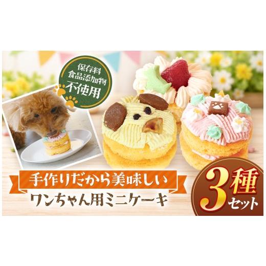 ふるさと納税 加工品等 長野県 原村 ワンちゃん プチ ケーキ 3種 セット ( 犬用 )| 犬 おやつ プレゼント 誕生日 手作り 保存料不使用 冷凍 信州 八ヶ岳 長野…