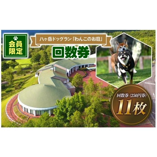 ふるさと納税 イベントやチケット等 長野県 原村 会員限定 八ヶ岳 ドッグラン 「わんこのお庭」 回数券 11枚 | 犬 わんちゃん 旅行 自然 広い 信州 八ヶ岳 長…