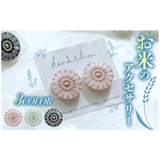 ふるさと納税 アクセサリー ピアス 長野県 原村 お米 の アクセサリー ピアス グリーン | ピアス イヤリング アクセサリー ハンドメイド お米 米 信州 八ヶ岳 …