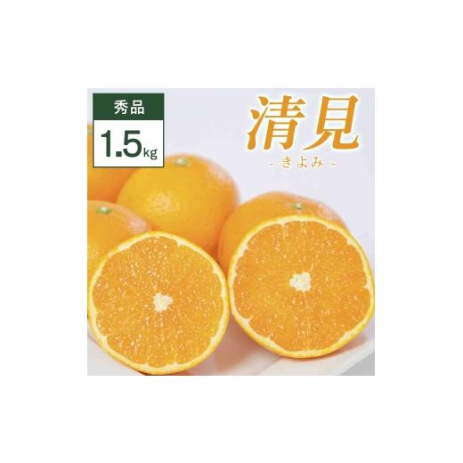 ふるさと納税 みかん・柑橘類 愛媛県 八幡浜市 清見 1.5kg 愛媛県 八幡浜市 西宇和地区 柔らかい果肉 C25-350 1716853 YW