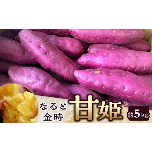 ふるさと納税 野菜類 サツマイモ 徳島県 徳島市 さつまいも なると金時「甘姫」約5kg 新芋 7月下旬から順次発送 新芋: 7月下旬から順次発送の画像
