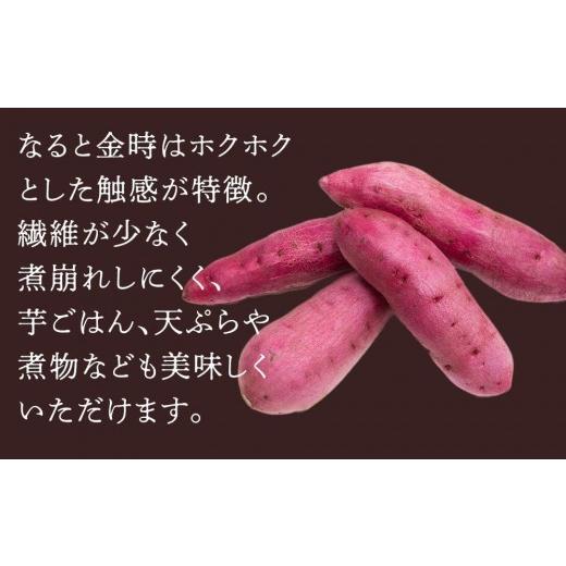 ふるさと納税 野菜類 サツマイモ 徳島県 徳島市 さつまいも なると金時「甘姫」約5kg 新芋 7月下旬から順次発送 新芋: 7月下旬から順次発送の画像